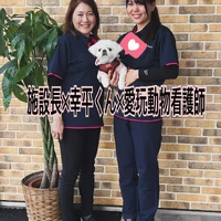 画像233
