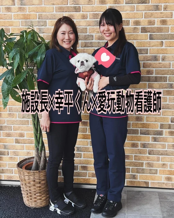 画像233