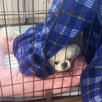 画像235