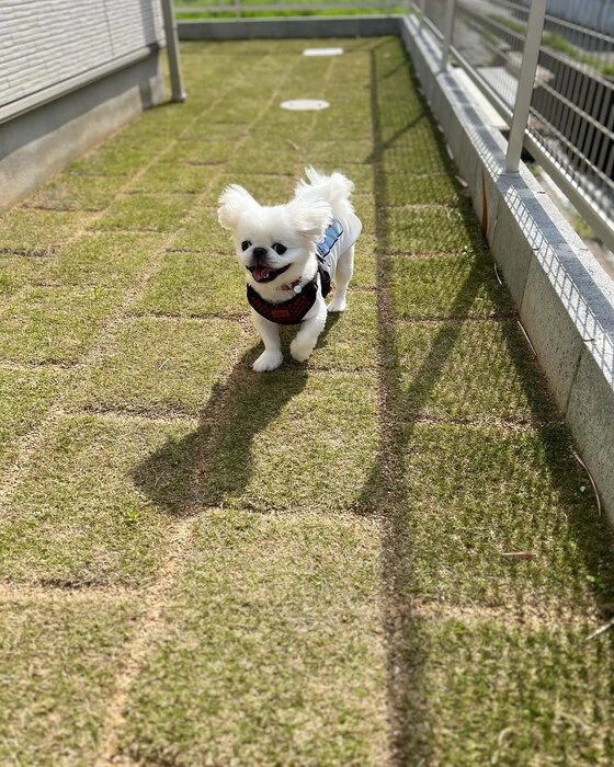 画像251