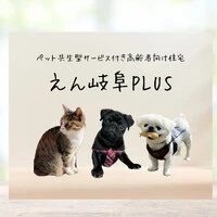 画像253