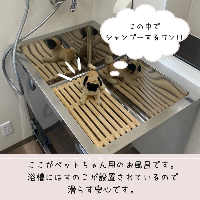 画像273