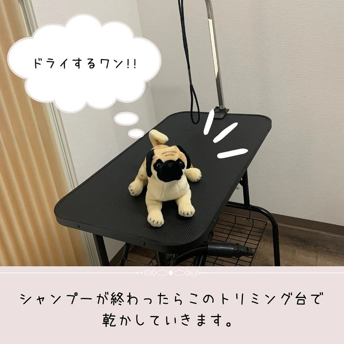 画像274
