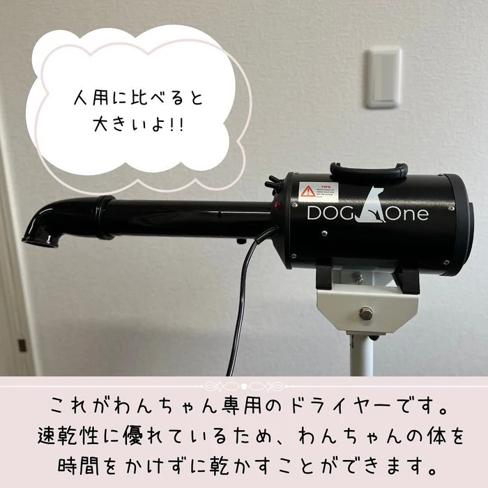 画像275