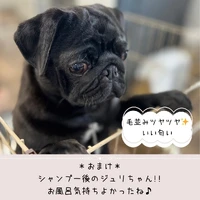画像276