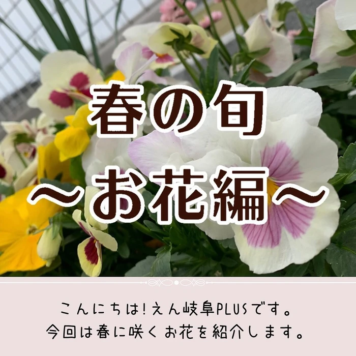 画像295