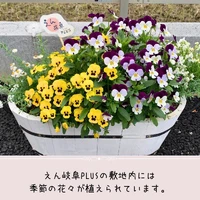 画像296