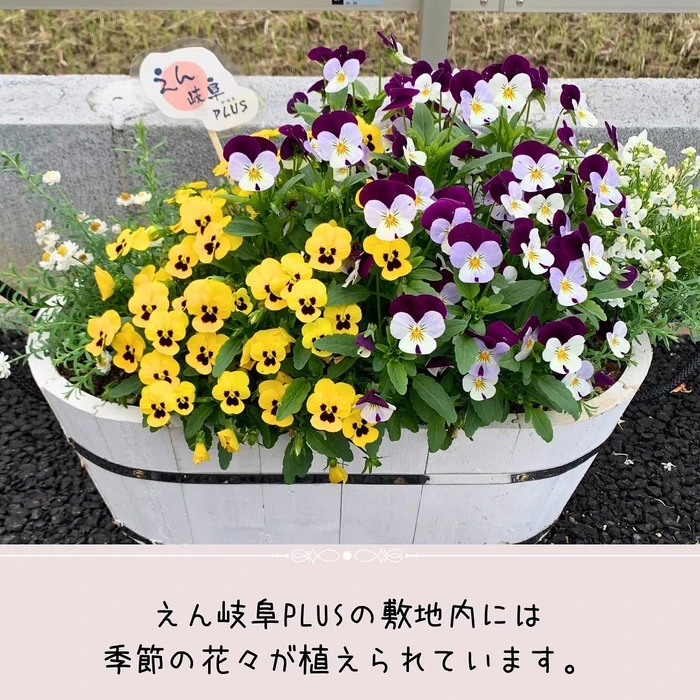 画像296