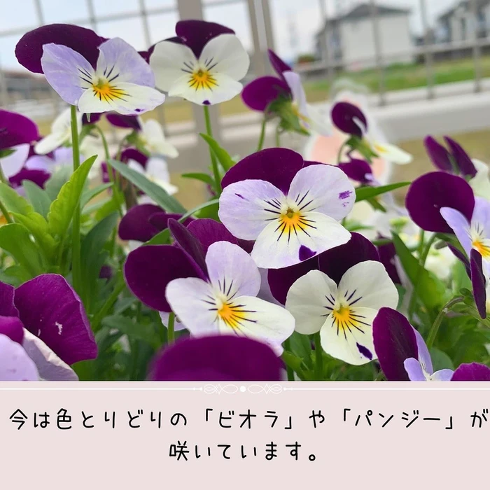 画像297