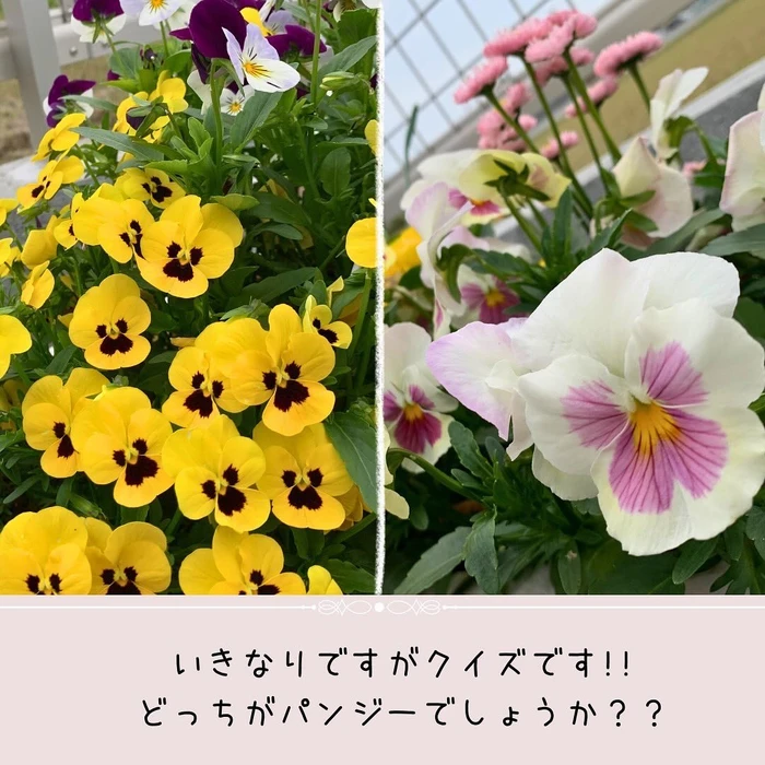 画像298