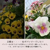 画像299