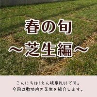 画像302
