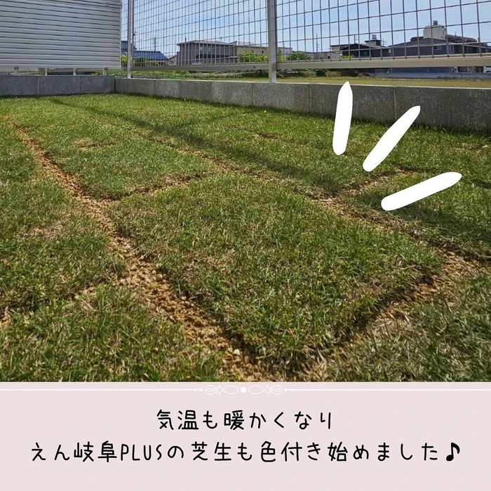 画像303