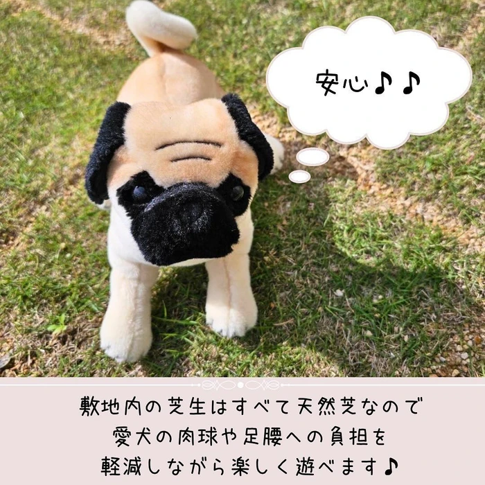 画像304