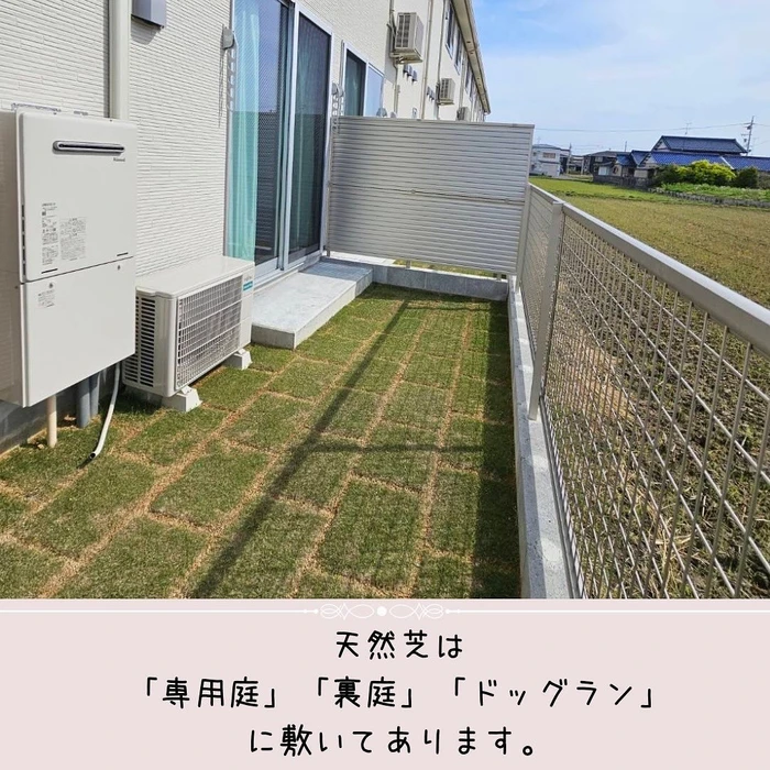 画像305