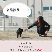 画像306