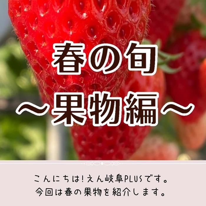 画像309