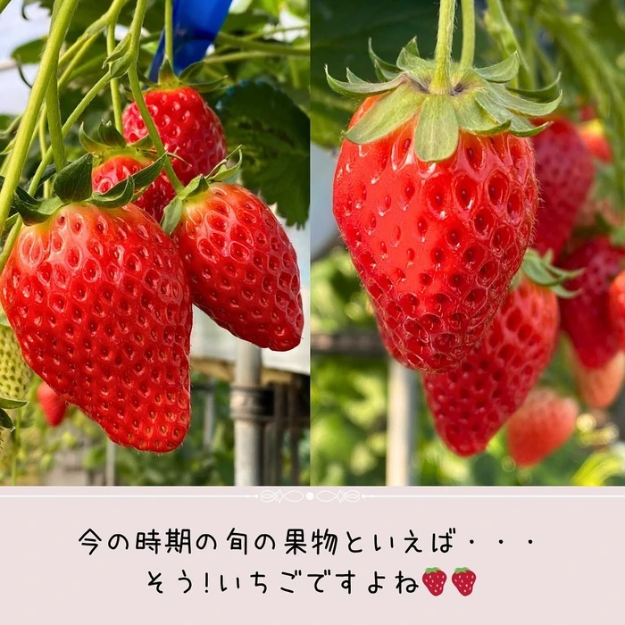 画像310