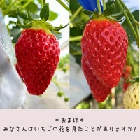 画像313