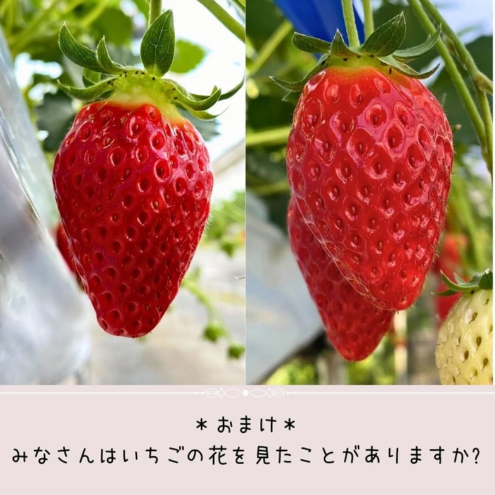 画像313