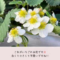 画像314