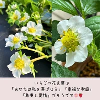 画像315