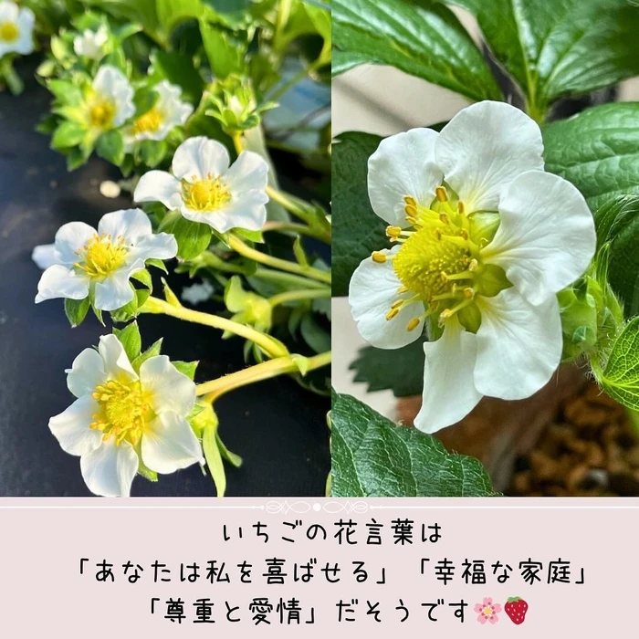 画像315