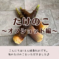 画像348
