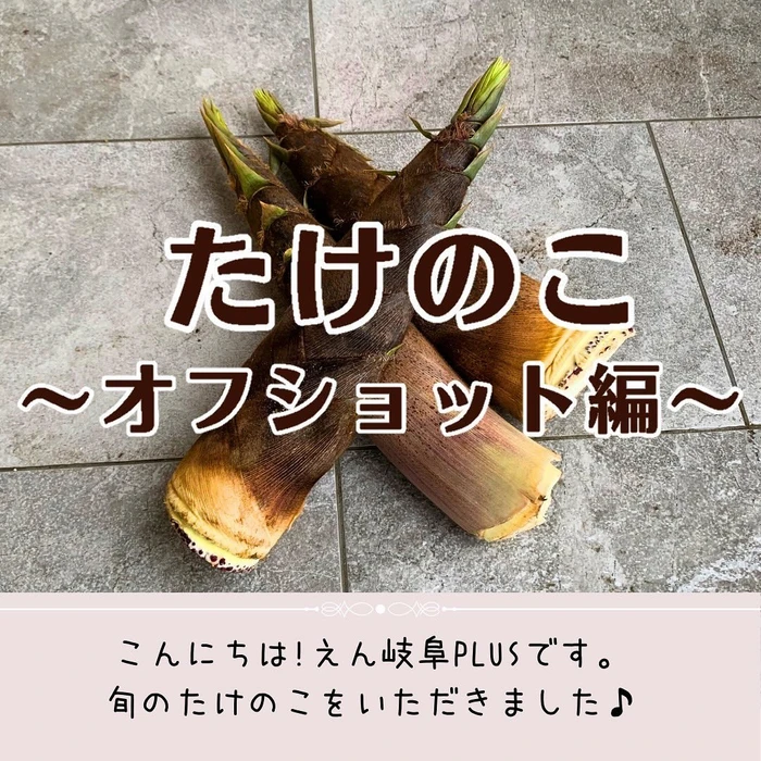 画像348