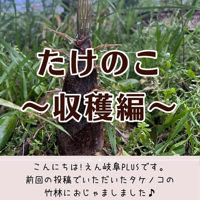 画像357