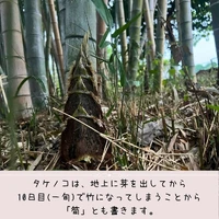 画像358