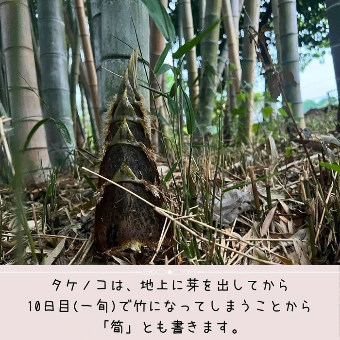 画像358