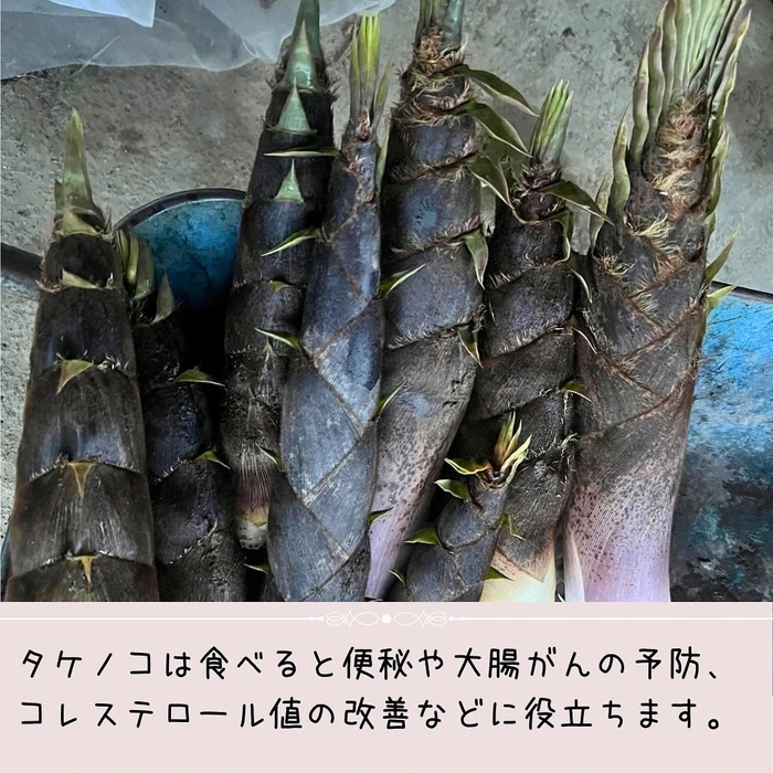 画像359