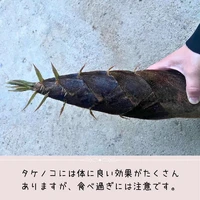 画像360