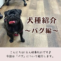 画像381