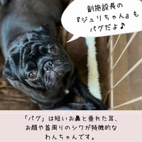 画像382