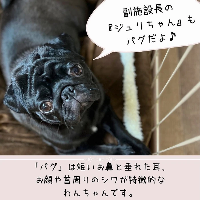 画像382