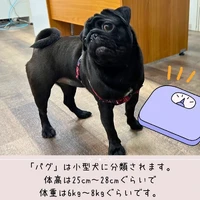 画像383