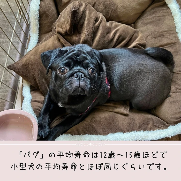 画像384