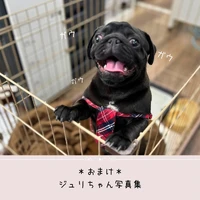 画像385