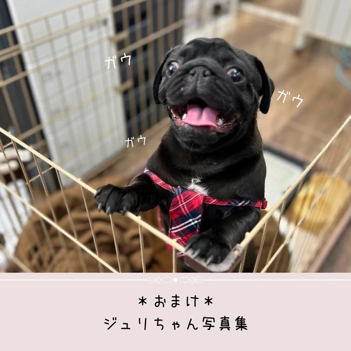 画像385
