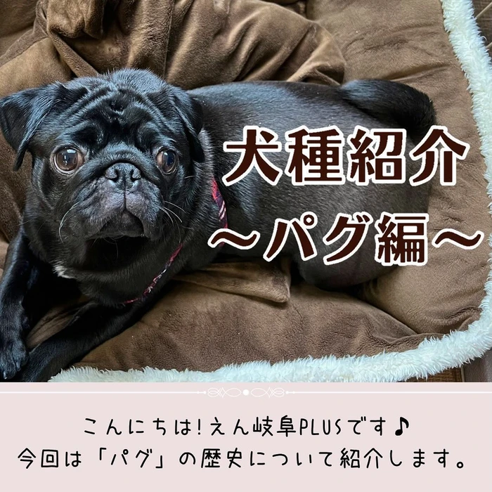 画像388