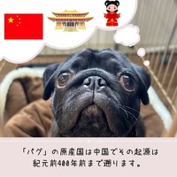 画像389
