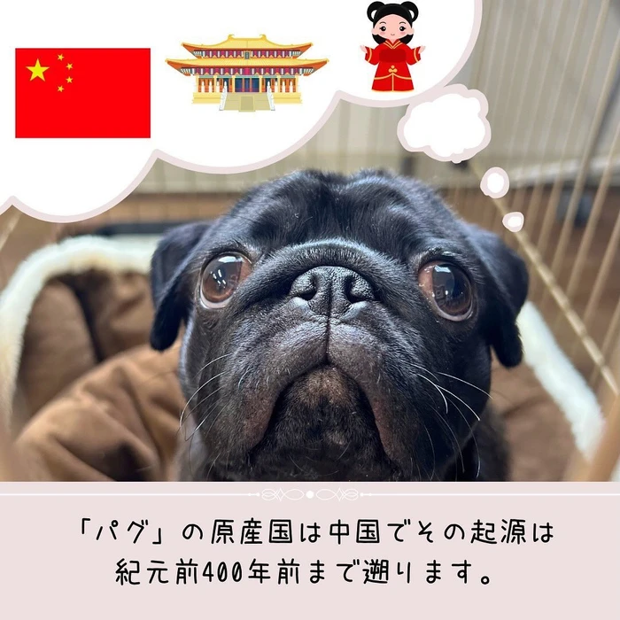 画像389