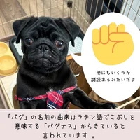 画像391