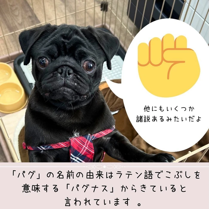 画像391