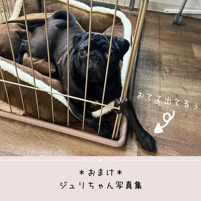 画像392