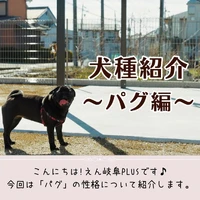 画像395