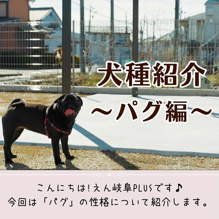 画像395