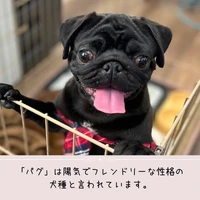 画像396